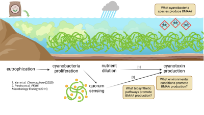 Effect of nutreints on cyanobacteria