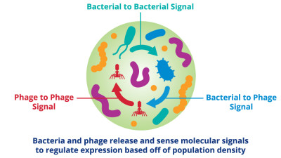 microbial signals